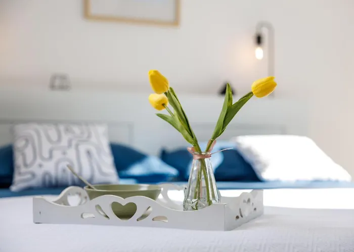 Vila Amarea By Istria Mia